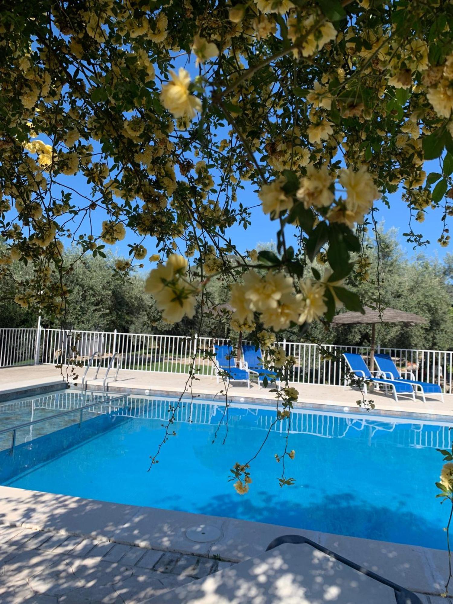 Вілла Casa De La Noria Carcabuey Екстер'єр фото